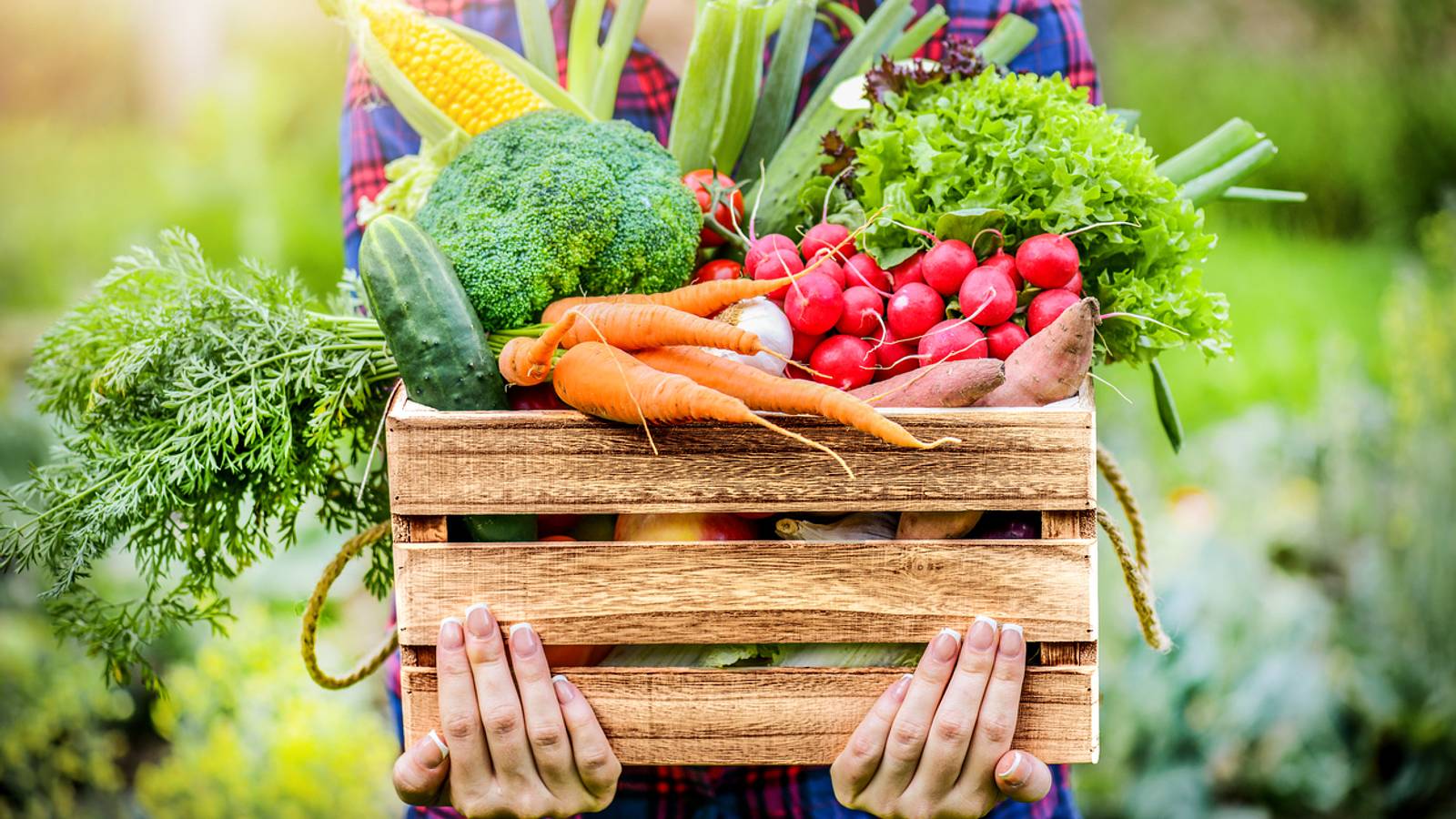 A women holding a basket of produce