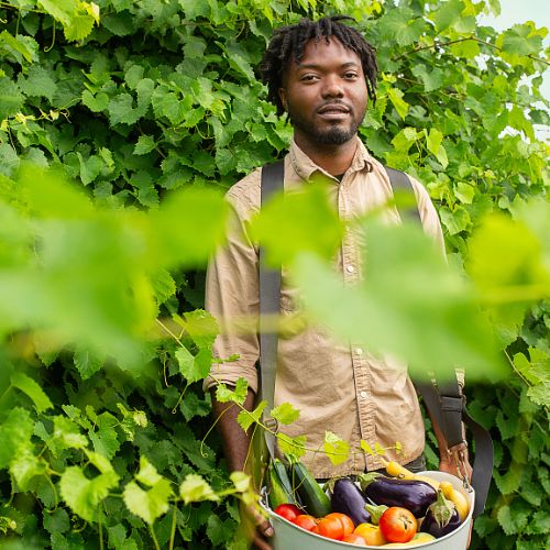 A farmer in the Mississippi Delta