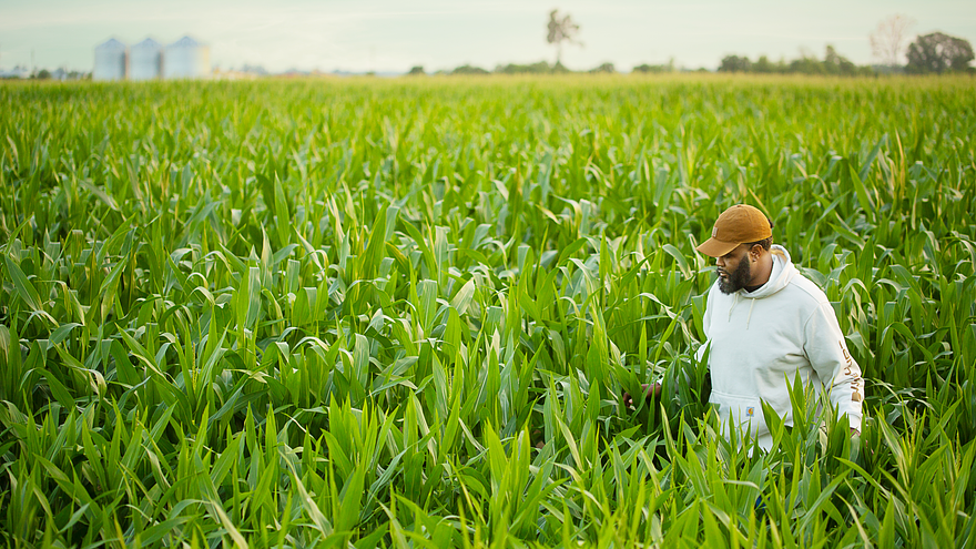 A farmer walks through fields in the Mississippi Delta