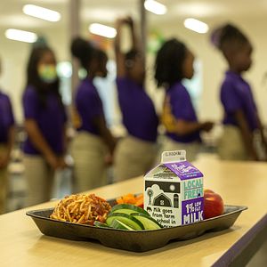 School meal