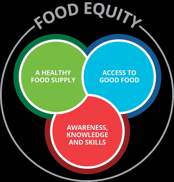The Food Equity Model is made up of a healthy food supply; access to good food; and awareness, knowledge and skills