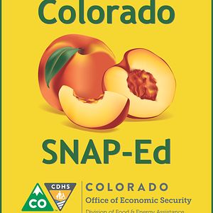 Logo for Colorado Department of Human Services, a supporter of Partnership for a Healthier America's FNV initiative. 