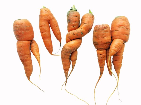 Image of imperfect carrots 