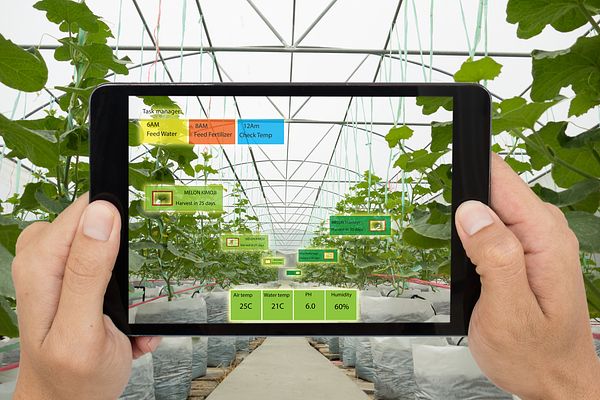 Smart agriculture concept; Farmer use Artificial intelligence and augmented reality in farm to help grow systems.