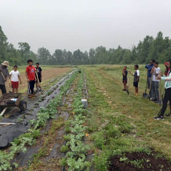 Breaking Down Local and Regional Barriers to Food Equity with the Human ...