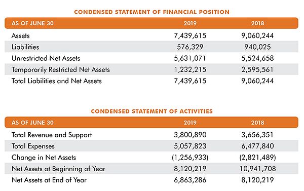 2019 progress report functional expenses tables