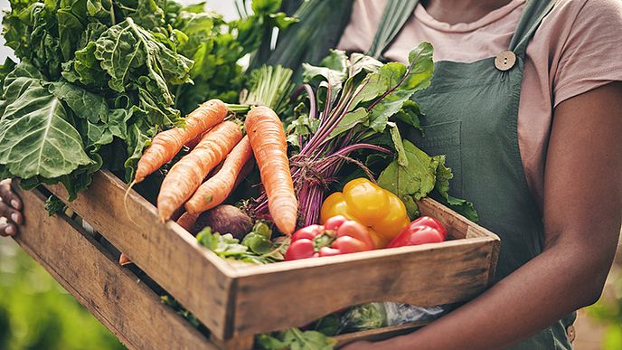 person holding box of vegetables