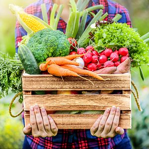 Basket of fruits and vegetables