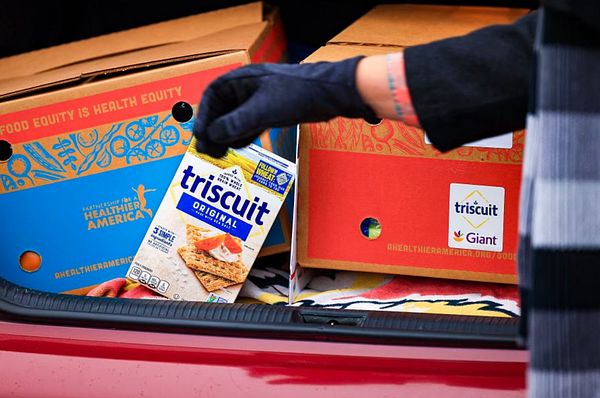 Volunteer holding a TRISCUIT box