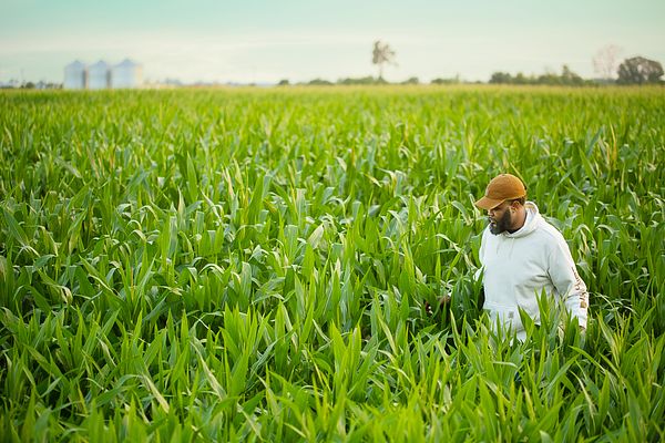 A farmer walks through fields in the Mississippi Delta