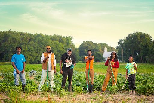 Mississippi Delta farmers in a field