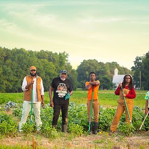 Mississippi Delta farmers in a field